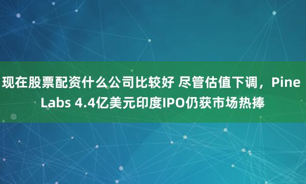 现在股票配资什么公司比较好 尽管估值下调，Pine Labs 4.4亿美元印度IPO仍获市场热捧