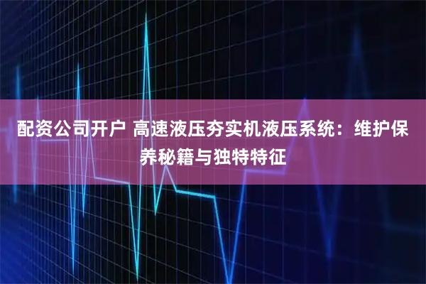 配资公司开户 高速液压夯实机液压系统：维护保养秘籍与独特特征
